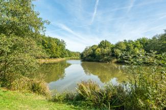 plan d’eau de Chantemerle à Montbert