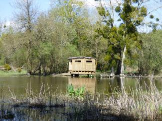 Observatoire sur les marais à Point Saint Martin