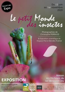 Exposition, Le petit monde des insectes
