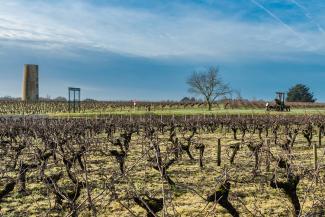 La limouzinière randonnées Grand Lieu VTT nature vignes vignobles idée de sortie sport