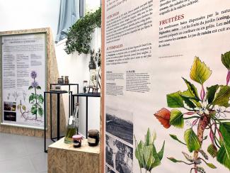 exposition botaniques fleurs plantes histoires mémoires grand lieu loire-atlantique nantes idées de sortie