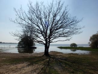 lac de grand lieu