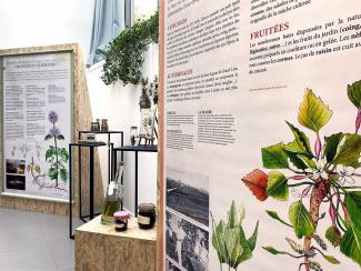 expo plantes grand lieu passay maison des pêcheurs