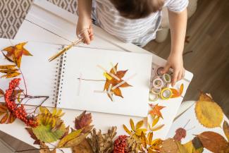 Animation petit herbier