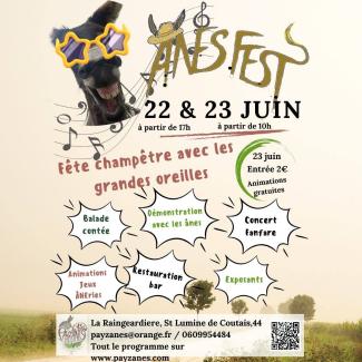 ane fest