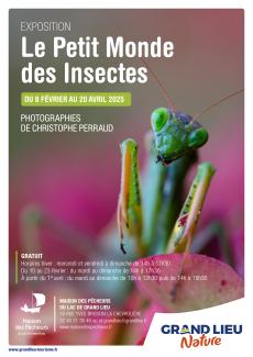 Affiche expo Le petit monde des insectes