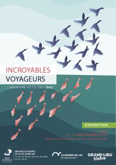Incroyables voyageurs - affiche