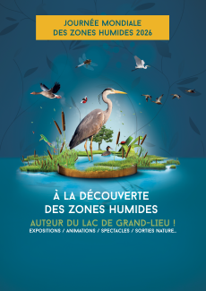 Oiseaux sur fond bleu pour représenter l'eau
