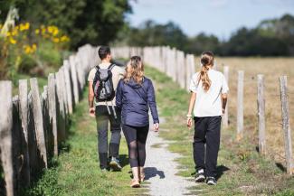Trois personnes de dos qui marchent sur un sentier de randonnée.