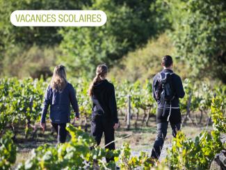 3 personnes au milieu des vignes