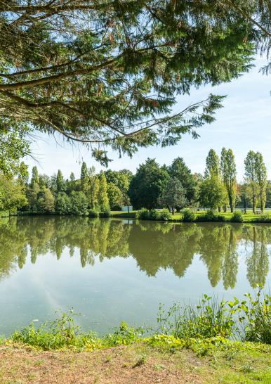 Etang communal - Geneston