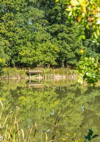 Etang de Chantemerle - Montbert