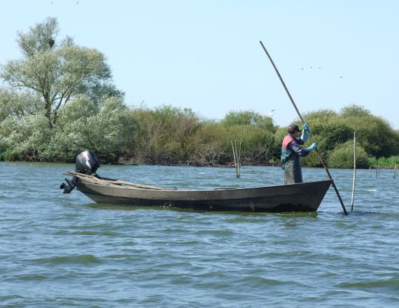 Pêcheur professionnel sur le lac de Grand Lieu