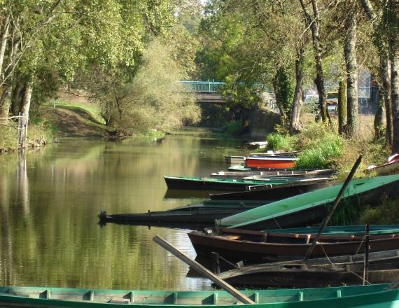 quai des romains bateaux