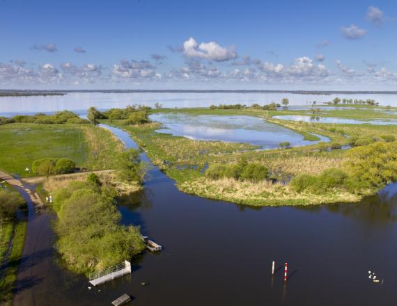 Lac pré marais