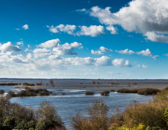 lac de grand lieu hiver