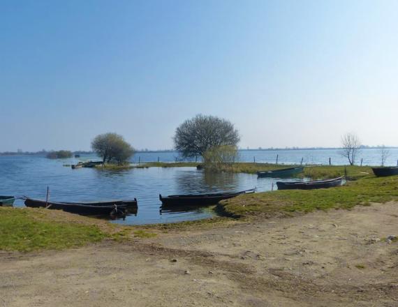 Vue sur le Lac depuis Saint Lumine de Coutais