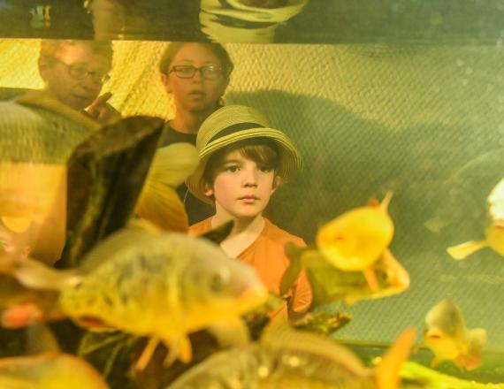 maison des pêcheurs du lac de grand lieu  atelier pédagogique scolaire aquarium poisson d'eau douce