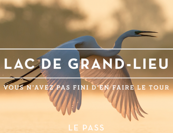 Affiche Pass Grand Lieu