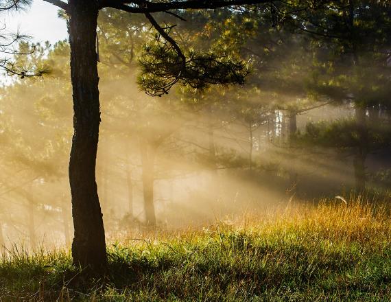 Sortie nature Grand Lieu Réserve Naturelle Agenda été 2020 proche Nantes