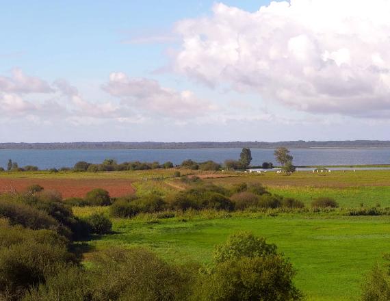 Lac de Grand Lieu proche Nantes nature visite ornithologie panorama