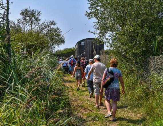 Visite groupe - observatoire ornithologique du lac de Grand Lieu