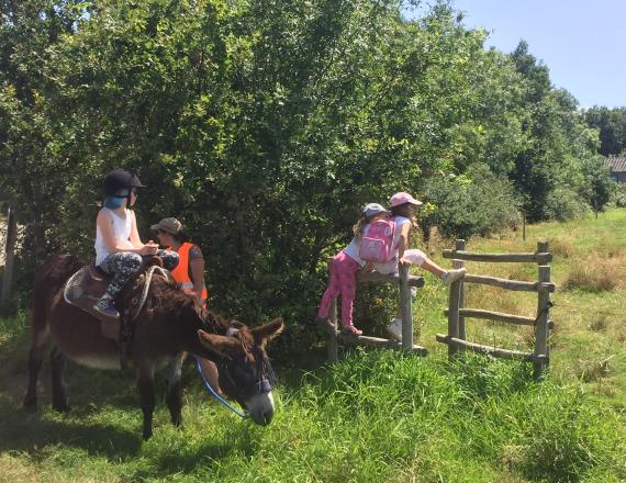 Payzanes association ane lac grand lieu familles enfants activités proches nantes idée sortie saint lumine de coutais marais