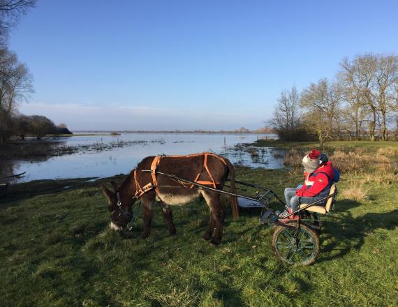 Payzanes idée sortie loisirs marais hivers animaux famille enfant proche de nantes vue sur les marais grand lieu