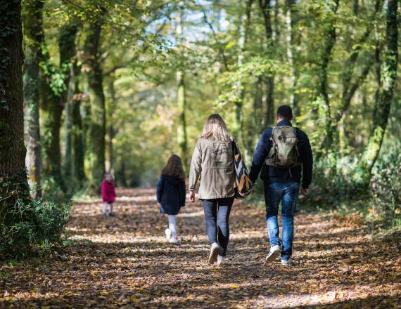 Forêt touffou bignon nantes balade famille amis nature amoureux