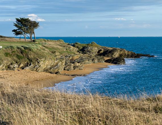 aux alentours de grand lieu loire atlantique tourisme a voir a faire nature randonnées bol d'air 