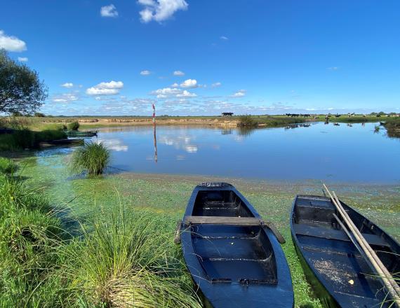 Saint lumine aout photo marais canal du grand port vache barque bucolique