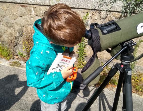 observation oiseaux grand lieu