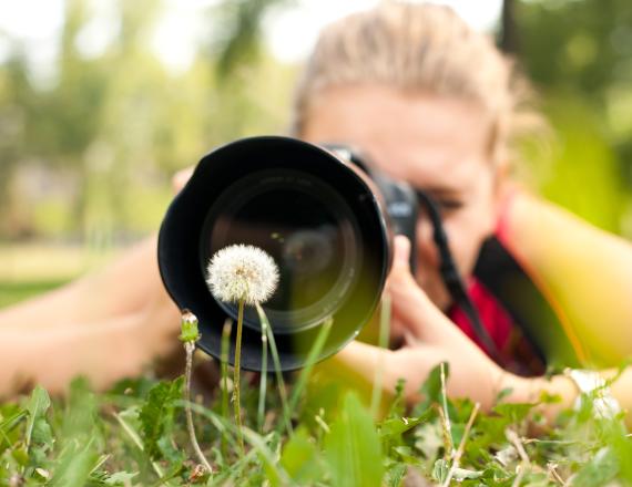 concours photos biodiv grand lieu