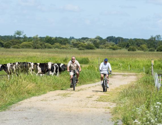 balade vélo marais saint lumine