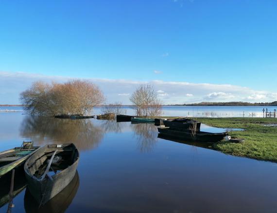 Lac inondé à Saint Lumine