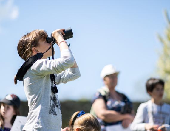 Observation oiseaux