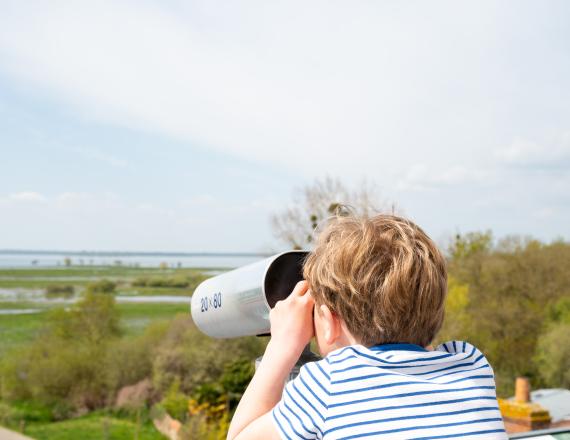 tour panoramique MDP