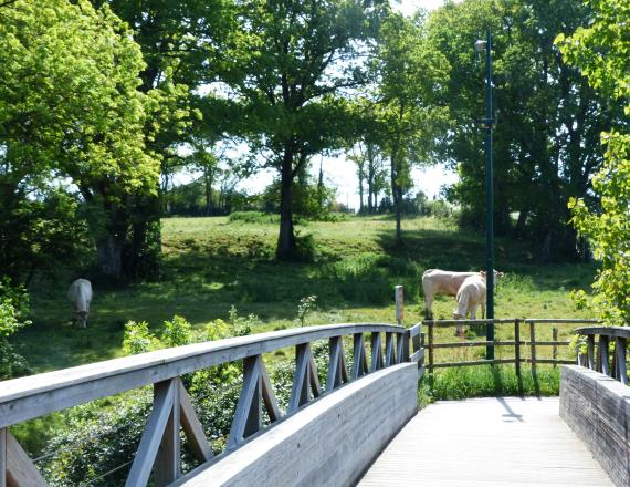 passerelle saint colomban 