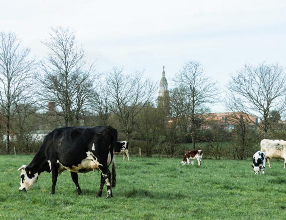 Ferme de Grand Lieu