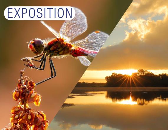 Exposition hiver 2025