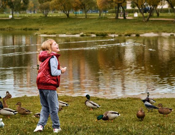 Enfant à côté d'une mare et plusieurs canards autour d'elle