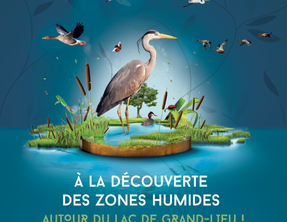 Oiseaux sur fond bleu pour représenter l'eau