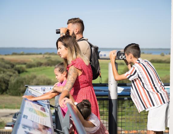 Tour panoramique - MDP