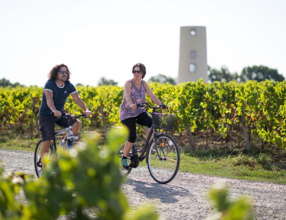 Vélo vignes