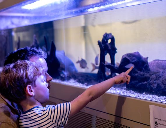 Aquarium