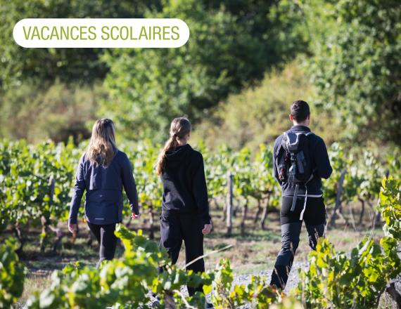 3 personnes au milieu des vignes